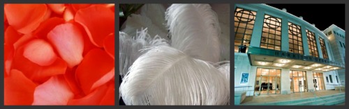 coral-rose-petals-white-ostrich-feathers-harrison-opera-house