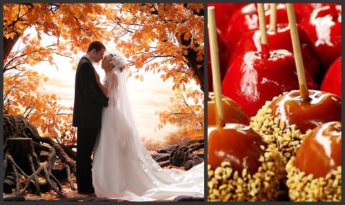 fall wedding-caramel apples fall wedding-caramel apples